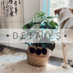 ▪️tips from my closet▪️